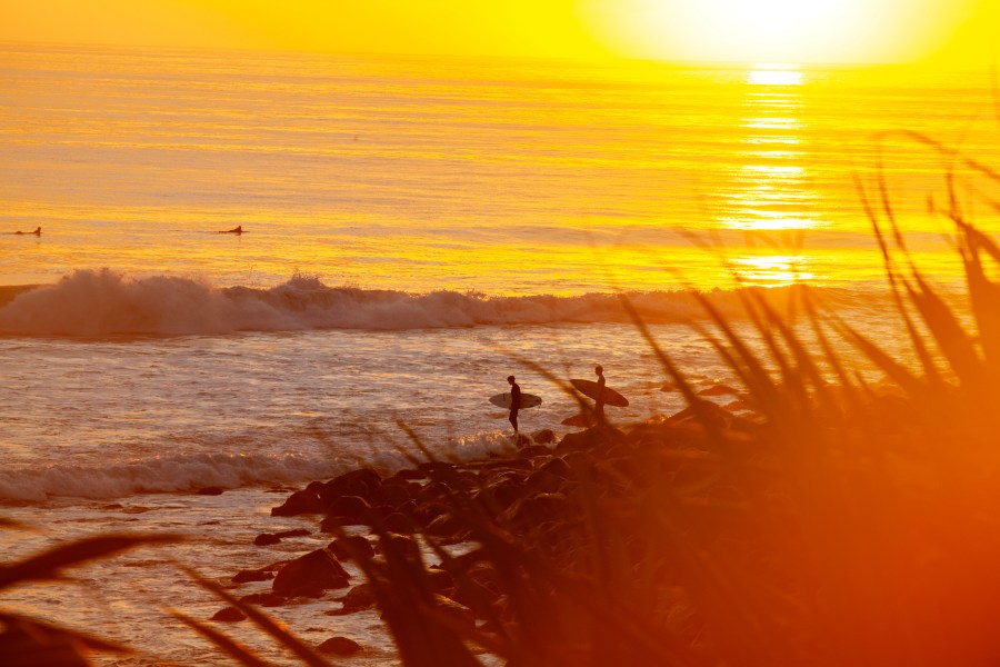 Burleigh Heads at sunrise. Two surfers walking into ocean. Sun rising vegetation in foreground.
