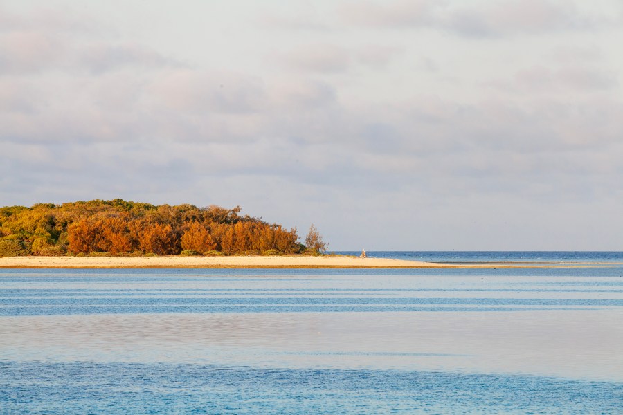 Lady Musgrave Island golden from the sunrise light